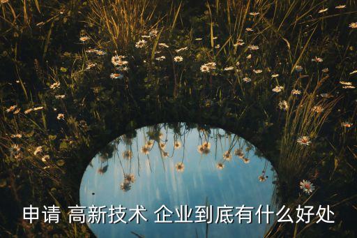 高新企业认证好吗,支付宝被取消高新企业认证