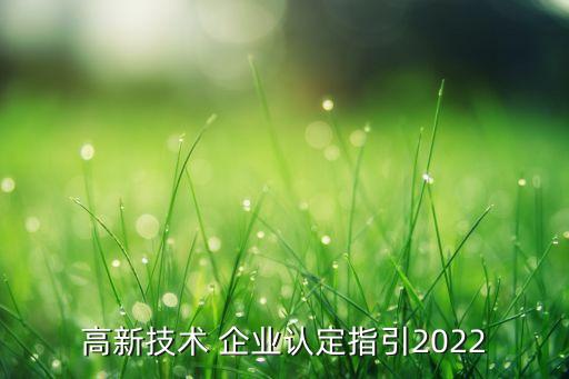 高新技术 企业认定指引2022