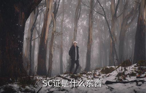 SC证是什么东西