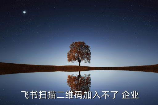  飞书扫描二维码加入不了 企业