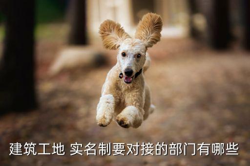 建筑工地 实名制要对接的部门有哪些
