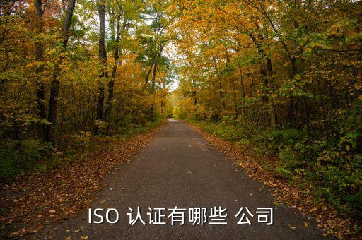 ISO 认证有哪些 公司