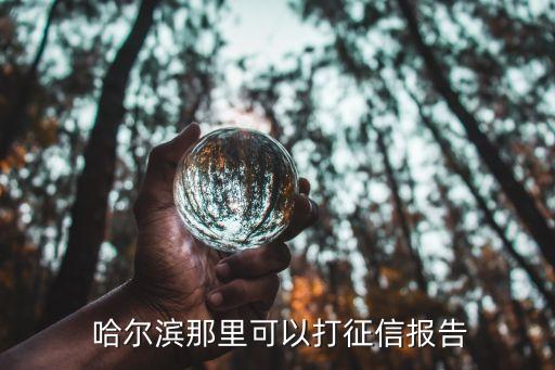  哈尔滨那里可以打征信报告