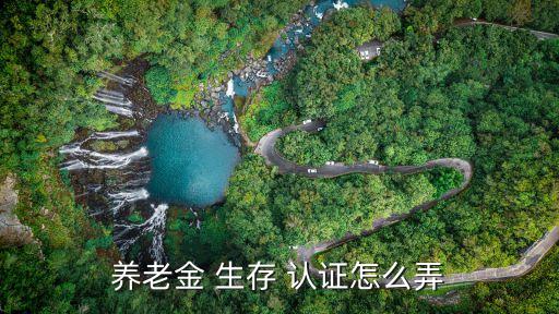 养老金 生存 认证怎么弄