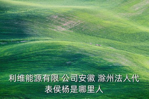 利维能源有限 公司安徽 滁州法人代表侯杨是哪里人