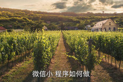 微信小 程序如何做