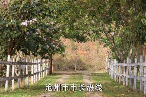  沧州市市长热线