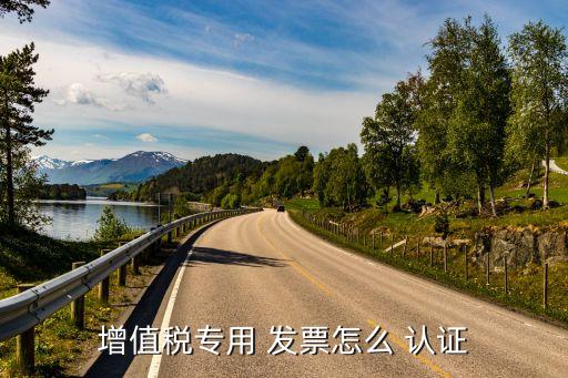 增值税专用 发票怎么 认证