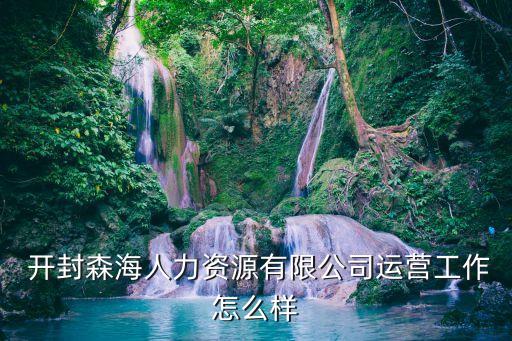  开封森海人力资源有限公司运营工作怎么样