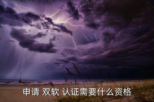 双软企业认证部门,江苏双软企业认证条件