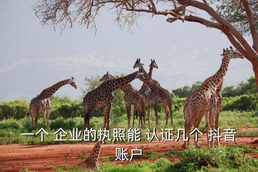 一个 企业的执照能 认证几个 抖音账户