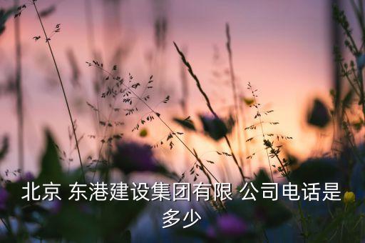 北京 东港建设集团有限 公司电话是多少