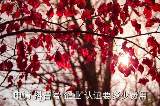 申请 抖音号 企业 认证要多少费用