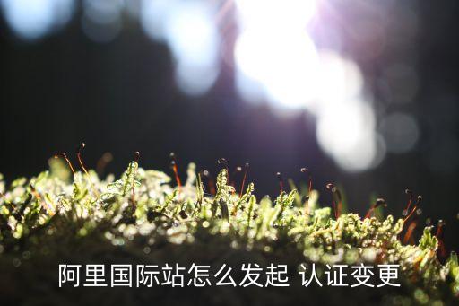 阿里国际站怎么发起 认证变更