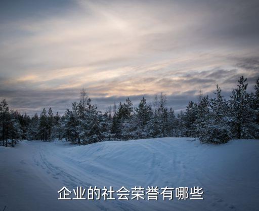  企业的社会荣誉有哪些