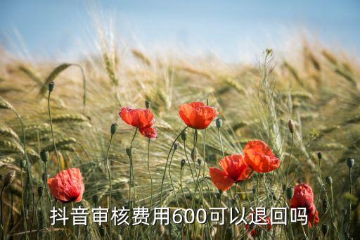 抖音审核费用600可以退回吗