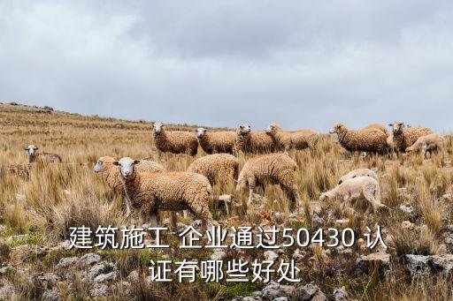  建筑施工 企业通过50430 认证有哪些好处