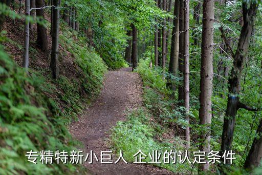 专精特新小巨人 企业的认定条件