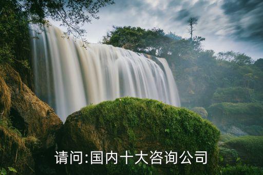 请问:国内十大咨询公司