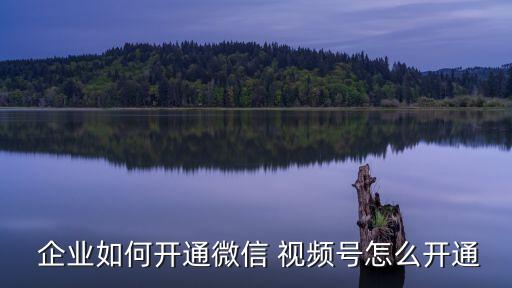 视频号企业号认证作用,西瓜视频怎么认证企业号
