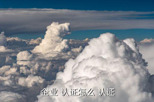  企业 认证怎么 认证