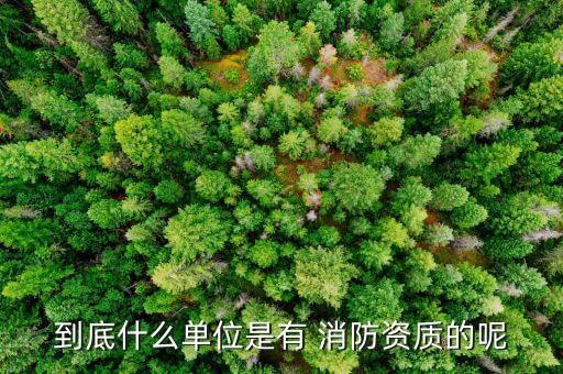 到底什么单位是有 消防资质的呢