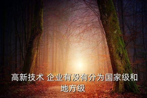  高新技术 企业有没有分为国家级和地方级