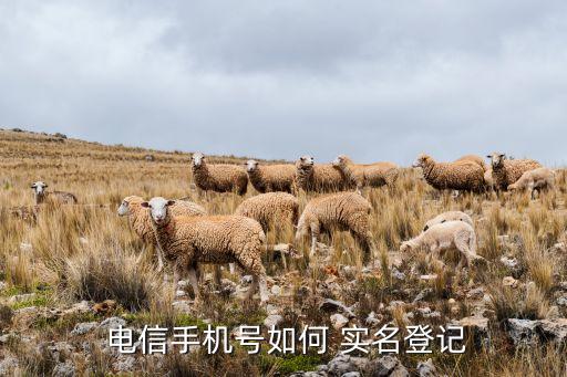  电信手机号如何 实名登记