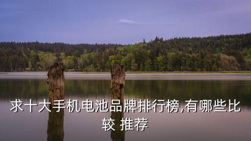 求十大手机电池品牌排行榜,有哪些比较 推荐