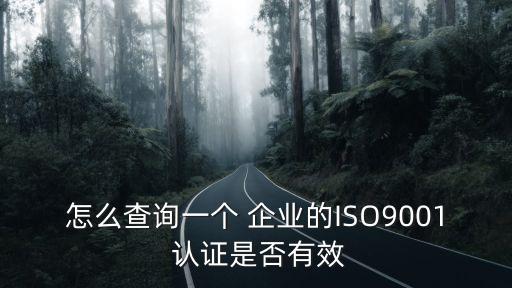怎么查询一个 企业的ISO9001 认证是否有效
