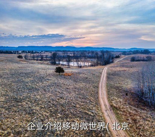 北京企业认证在线服务,人民法院在线服务认证不了