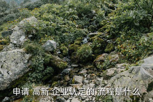 申请 高新 企业认定的 流程是什么