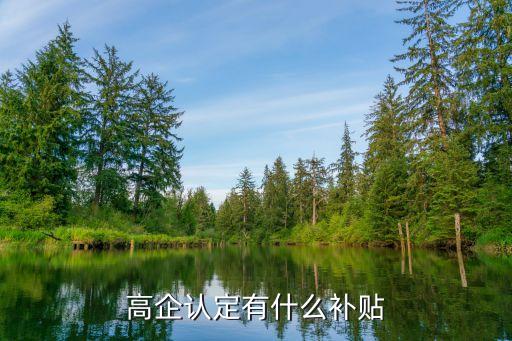 国家高新企业认证补助,高新企业的补助好不好拿