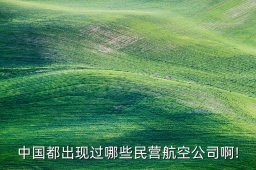 中国都出现过哪些民营航空公司啊!