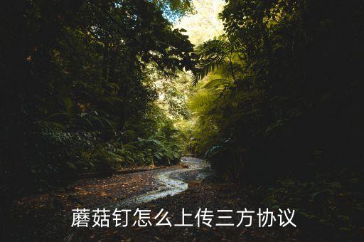  蘑菇钉怎么上传三方协议