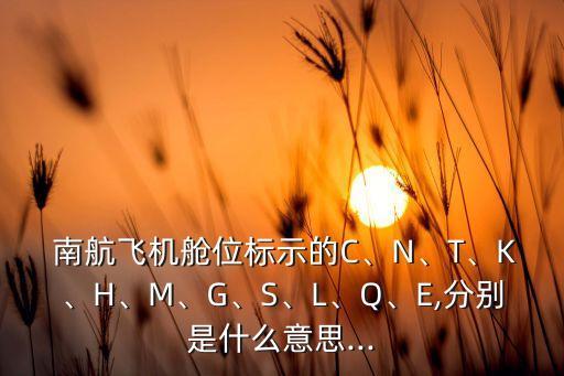 南航企业认证级别划分,南航会员级别有终身白金吗?
