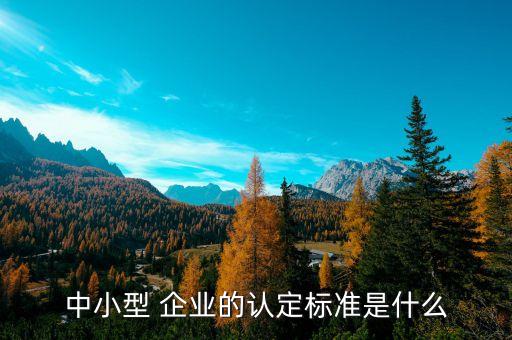 中小型 企业的认定标准是什么