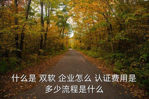 什么是 双软 企业怎么 认证费用是多少流程是什么