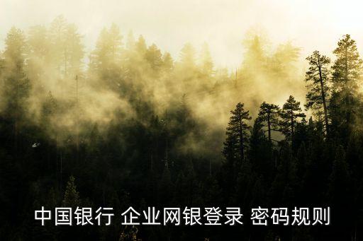 中国银行 企业网银登录 密码规则