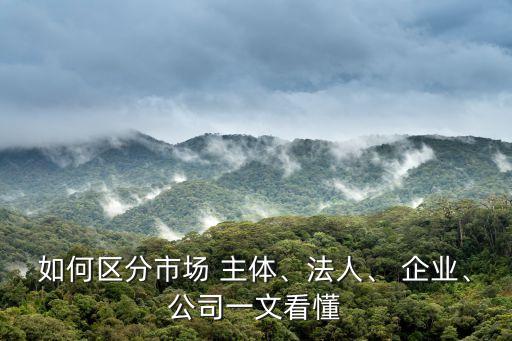 如何区分市场 主体、法人、 企业、公司一文看懂