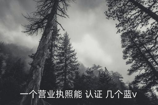抖音一个企业可以认证几个蓝V