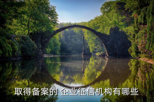 取得备案的 企业征信机构有哪些