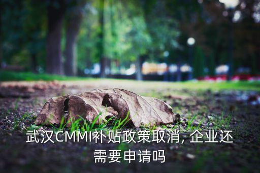 武汉CMMI补贴政策取消, 企业还需要申请吗