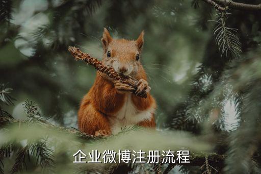  企业微博注册流程