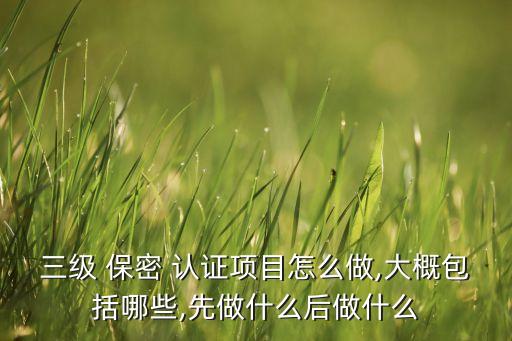 三级 保密 认证项目怎么做,大概包括哪些,先做什么后做什么