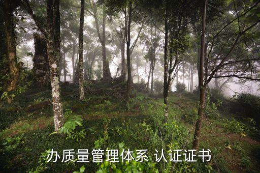 办质量管理体系 认证证书