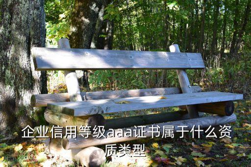  企业信用等级aaa证书属于什么资质类型