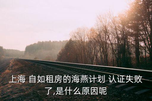 自如 企业认证,上海海燕计划认证失败后能恢复认证资格吗?