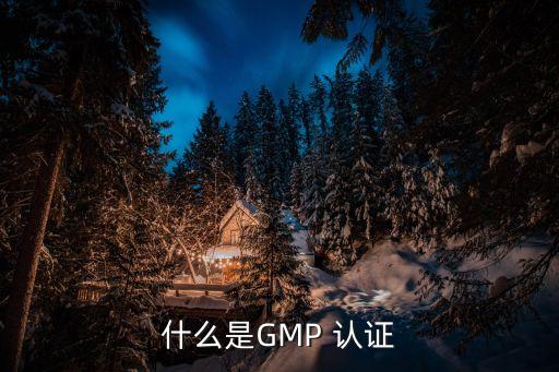 什么是GMP 认证