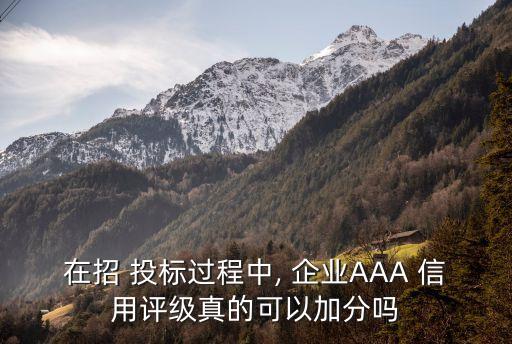 在招 投标过程中, 企业AAA 信用评级真的可以加分吗